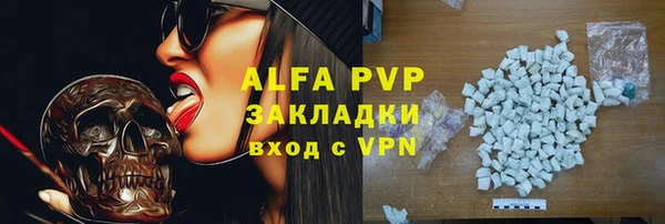 хмурый Верея