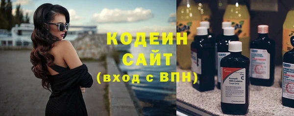 хмурый Верея