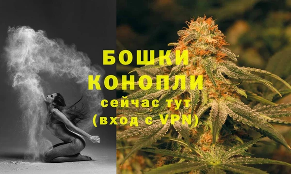 мет Бородино