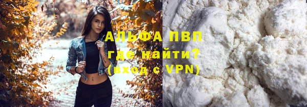 прущие грибы Верхний Тагил