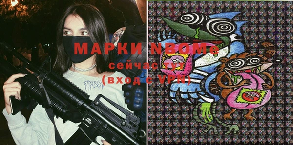хмурый Верея