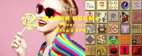 хмурый Верея