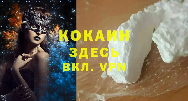 прущие грибы Верхний Тагил