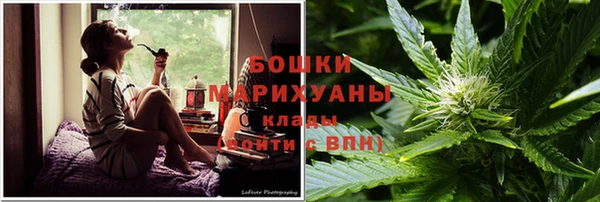 прущие грибы Верхний Тагил
