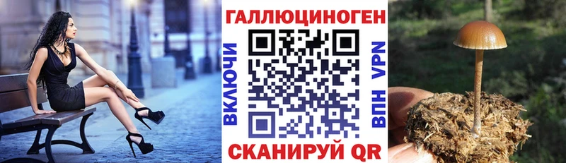 KRAKEN рабочий сайт  Энгельс  Галлюциногенные грибы мицелий 